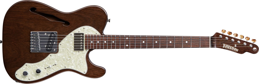 Fホールを持ったエレガントなテレ》テレキャスター・シンラインの特徴