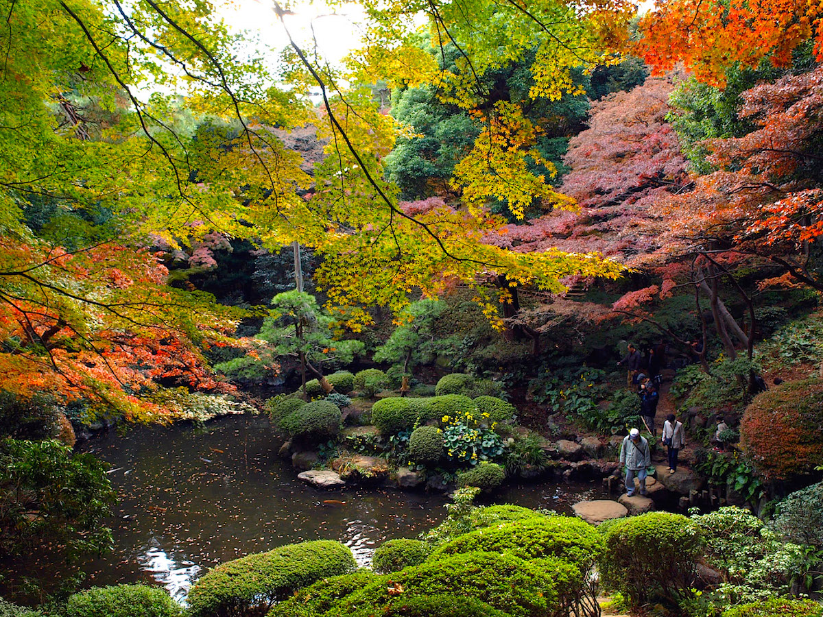 TK036801.jpg?fit=1200,900&ssl=1