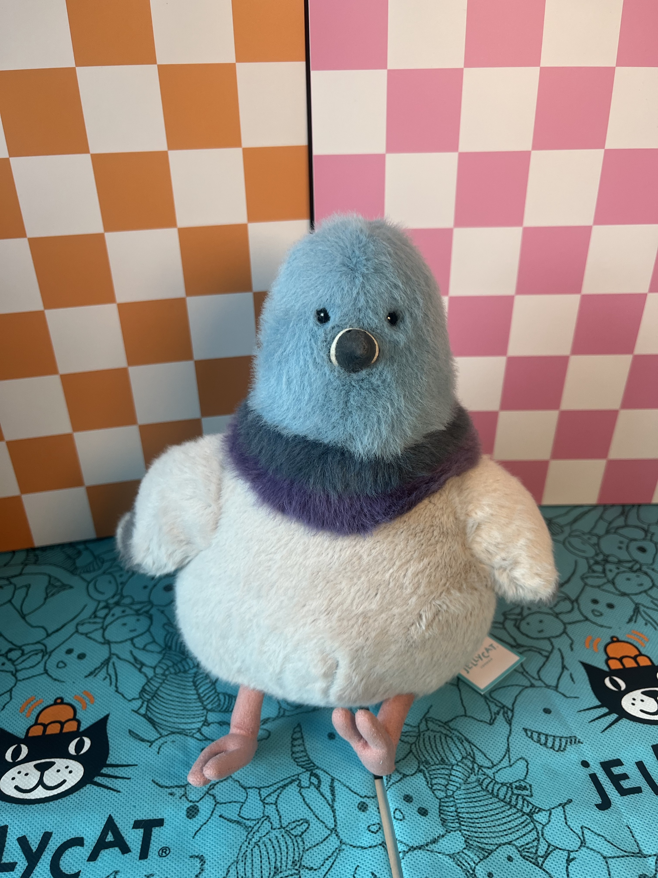 Strutton Pigeon - The Jellyspot