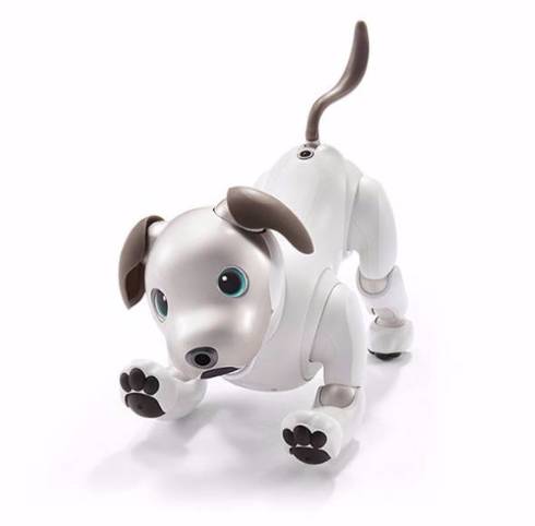 ソニー、新型「aibo」発売へ 犬型ロボットが復活：新たな姿に（1/2