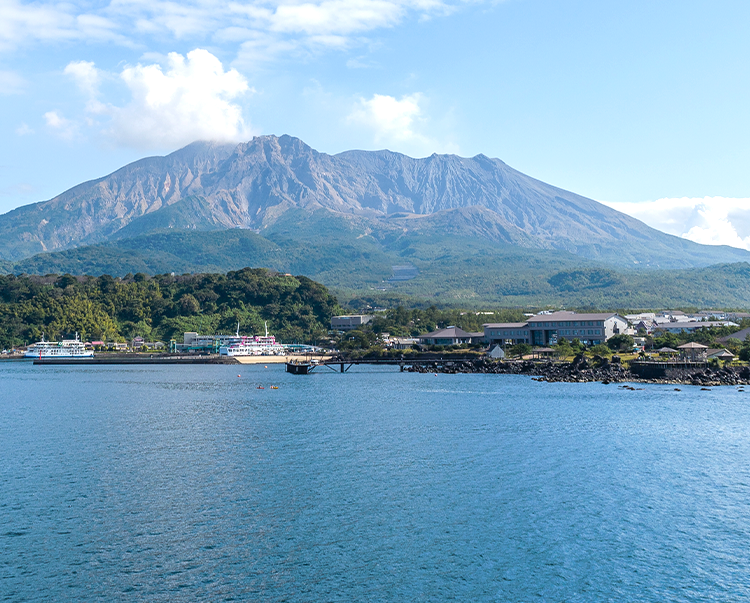 九州ルルルン（甘夏の香り）- フェイスマスク ルルルン【公式】