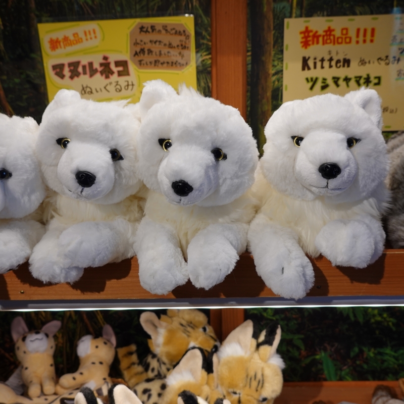 ひざオオカミ ホッキョクオオカミ S 【Original】 | 那須どうぶつ王国