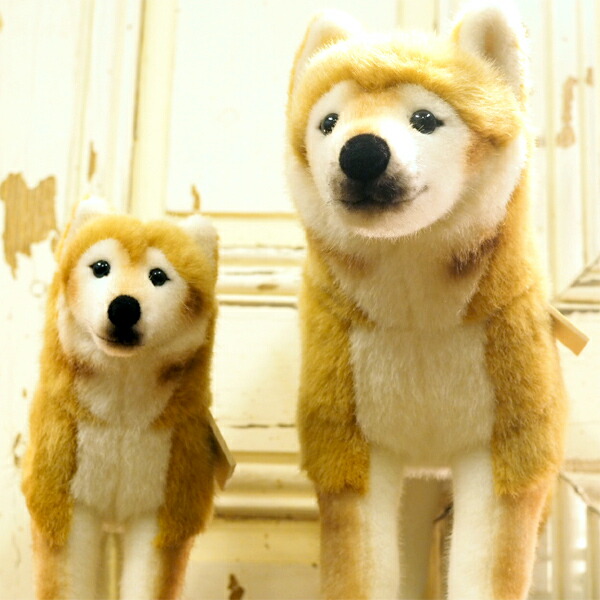 楽天市場】KOESEN ケーセン社 柴犬 5750〜ドイツ・KOESEN/KOSEN