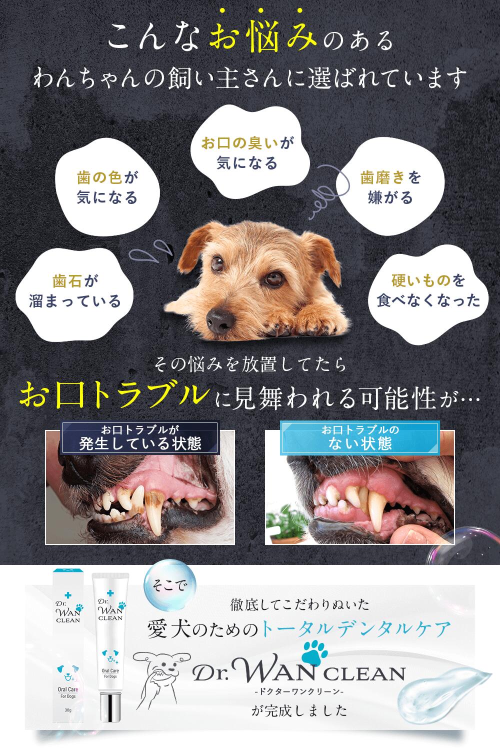 楽天市場】【動物病院取り扱い商品】 犬 歯磨き 歯磨き粉 歯磨きジェル