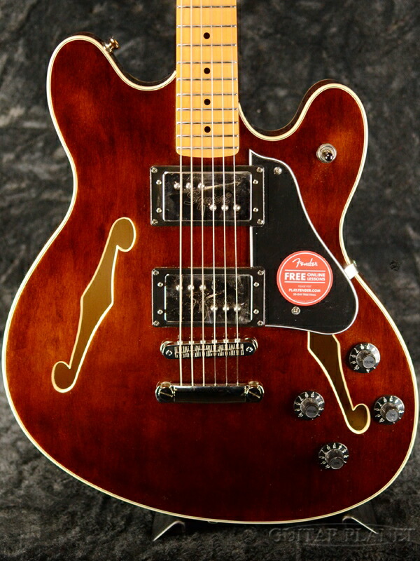 楽天市場】Squier Classic Vibe Starcaster -Walnut / Maple- 新品