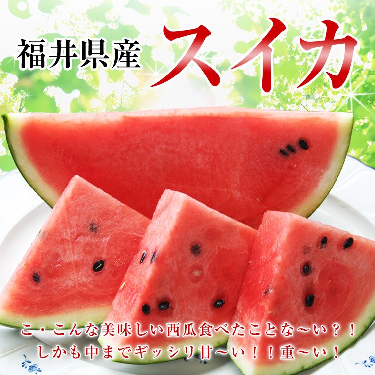 楽天市場】福井ブランド西瓜【夏の天使】夏の贈り物【送料無料】福井県