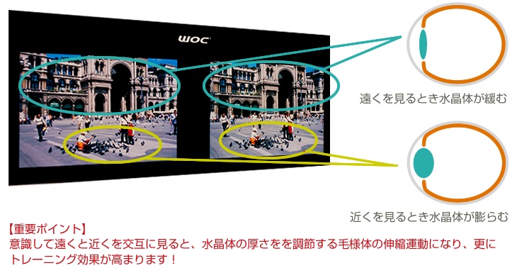 楽天市場】WOC（ワック） 活眼器 OPUS-7（オーパス・セブン）【代引き