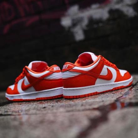 国内3月14日/18日/11月14日/29日発売予定】ナイキ ダンク ロー SP