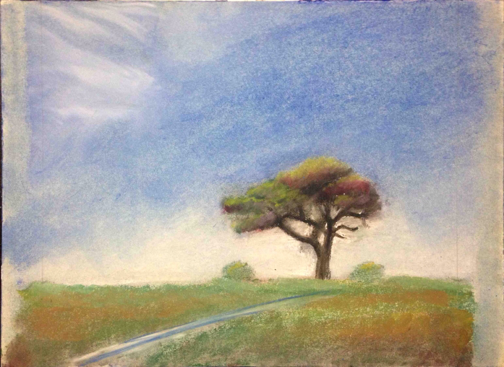 長太の大楠 011」パステル画の描き方 | パステル画制作日記 - 楽天ブログ