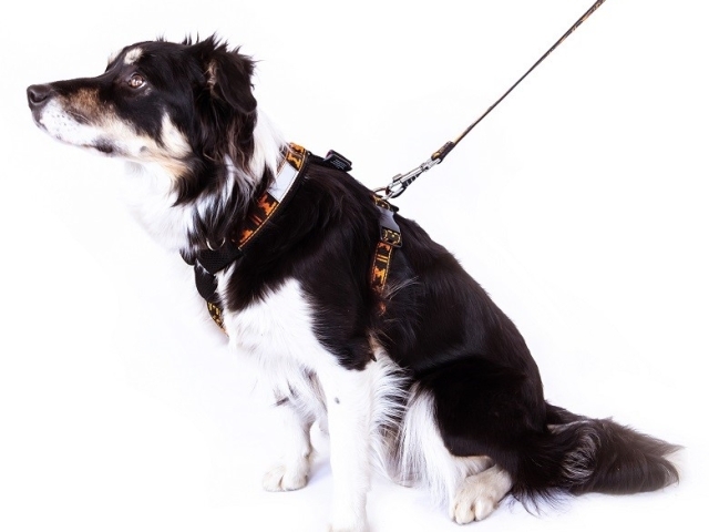 マンマット スマートハーネス MANMAT（ソフトパッド犬用胴輪