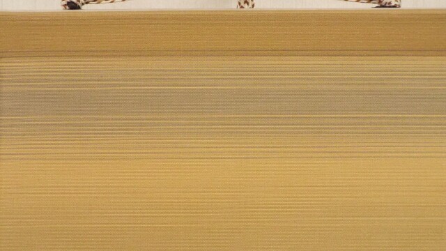 今井玄花ミニ掛け軸【桔梗】 手しごと屋彦兵衛