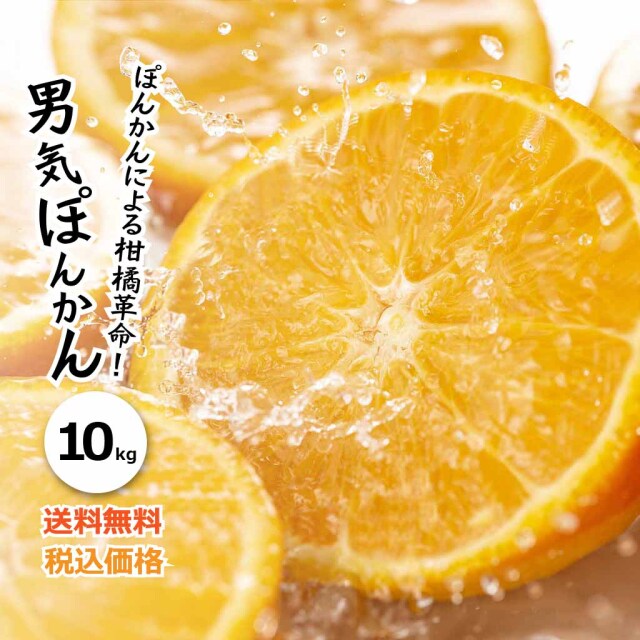 2021年初出荷 上果園の男気ぽんかん10kg 送料無料