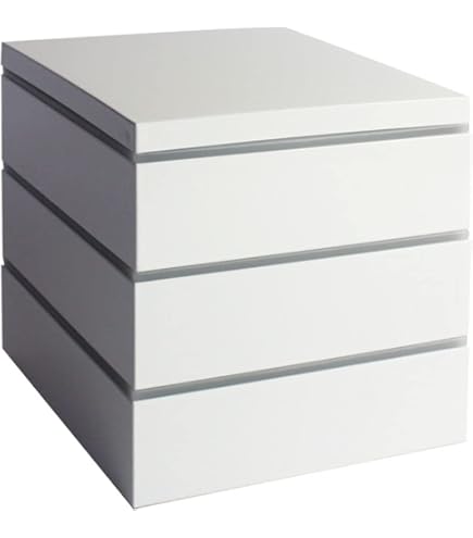 Amazon.co.jp: 井上鷹の羽家紋 野弁当一式 時代漆芸 漆塗 金蒔絵 唐草