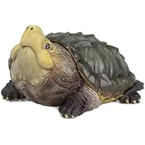 41rBYVR5JBL._AC_UL210_SR210,