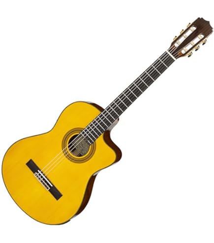 Amazon.co.jp: TAKAMINE P3FCN NS エレガットギター : 楽器・音響機器