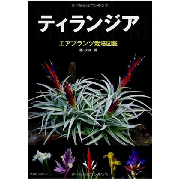 エアプランツLife | スゥルギ, 齊藤 太一, 藤川 史雄 |本 | 通販 | Amazon