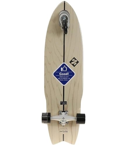 Amazon | TRY WHEEL(トライウィール) TRYWHEEL FISH 35 AMERICA