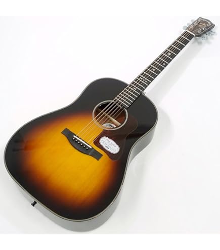 Amazon.co.jp: Headway HF-25 NA アコースティックギター ヘッドウェイ