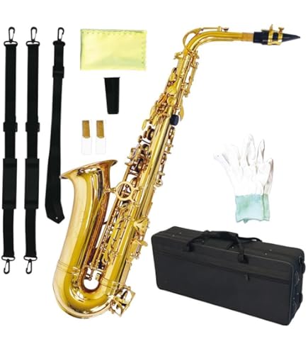 Amazon.co.jp: ANTIGUA/AS PROONE AM W/CASE アンティグア アルト