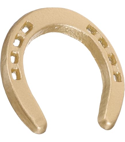 Amazon.co.jp: MUCKLILY 蹄鉄 馬蹄 飾り 壁掛け オブジェ アイアン