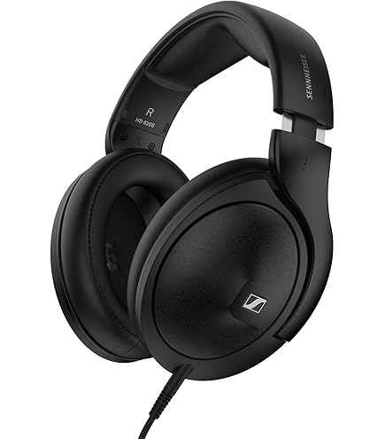 Amazon.co.jp: ゼンハイザー Sennheiser HD800 ダイナミック・オープン