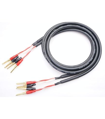 Amazon | ZONOTONE 6NSP-Granster 2200α 2本ペア ベリリウム銅製