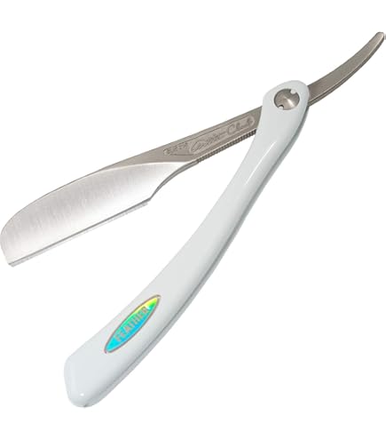 Amazon.co.jp: salonjapan フェザー アーティストクラブDXレザー 1個