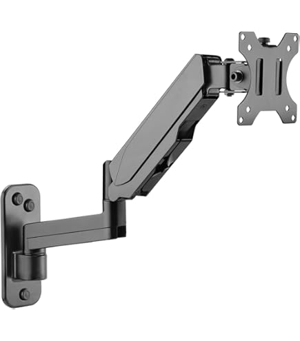 Amazon.co.jp: Amazonベーシック シングル-壁掛けタイプ モニター