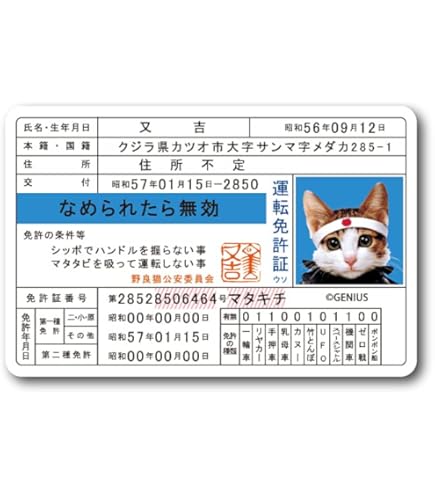 Amazon.co.jp: なめ猫 免許証04 みけ子 キャラクターステッカー 懐かし