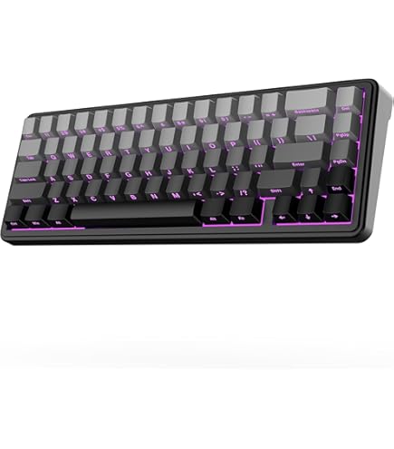 Amazon | PFU Happy Hacking Keyboard Professional2 墨 英語配列 静電