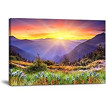 Amazon.co.jp: アートパネル 山 太陽の光 ポスター 絵画 インテリア 額