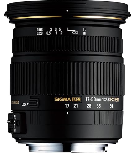 Amazon.co.jp: TAMRON 高倍率ズームレンズ 28-300mm F3.5-6.3 Di VC