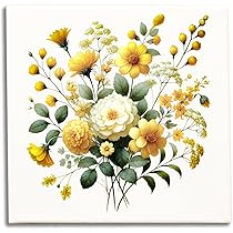 71m73xP+XgL._AC_UL210_SR210,