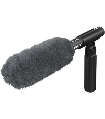 Amazon | パナソニック(Panasonic) ビデオカメラ用 超指向性