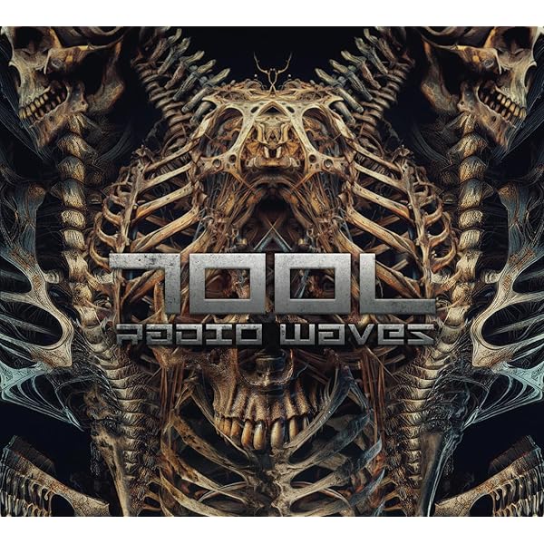Amazon.co.jp: Tool: Salival (Box) (CD & DVD): ミュージック
