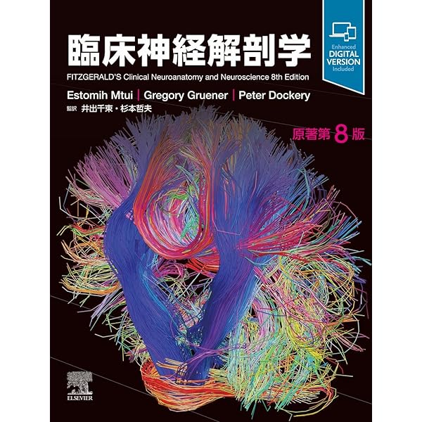 大脳白質解剖入門(An Introduction of Fiber Dissection): Cadaver