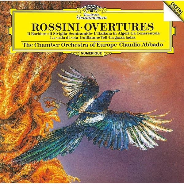 Amazon.co.jp: ロッシーニ:弦楽のためのソナタ: ミュージック