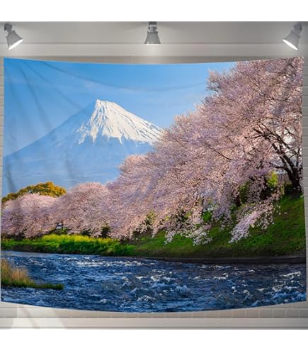 Amazon.co.jp: C102 コミケ Dragon Kitchen さそりがため フルセット