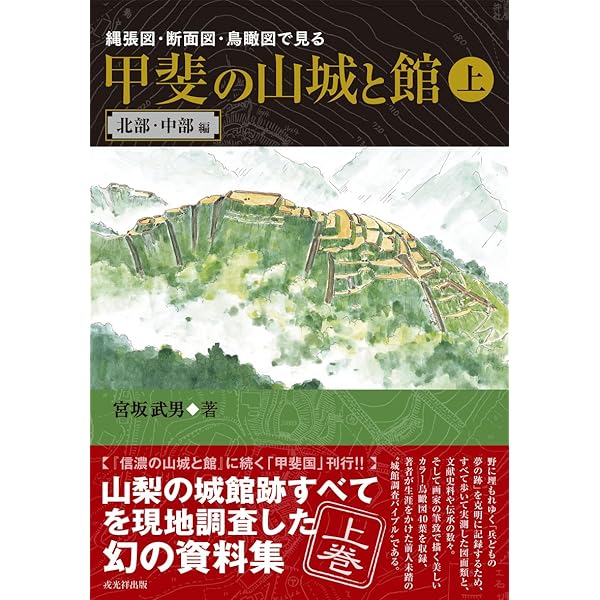 甲斐の山城と館: 縄張図・断面図・鳥瞰図で見る (下巻(東部・南部編