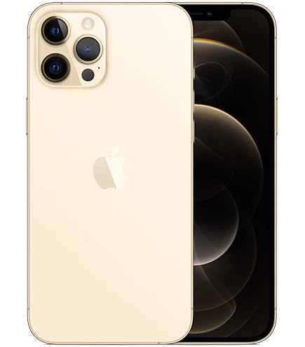 Amazon.com: Apple iPhone 12 Pro Max 5G,US 版本,256GB,銀色- 解鎖