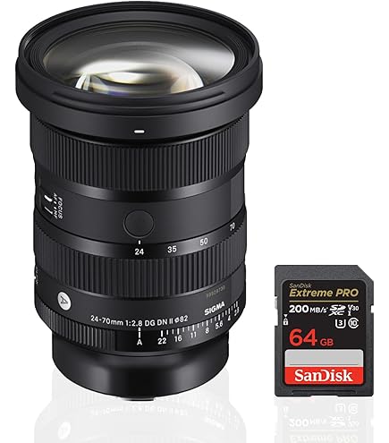 Amazon.com : Sigma 24-70mm F2.8 DG DN Art for Sony E Lens ,Black