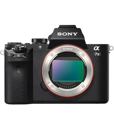 Amazon.com : Sony a7R II Full-Frame Mirrorless Interchangeable