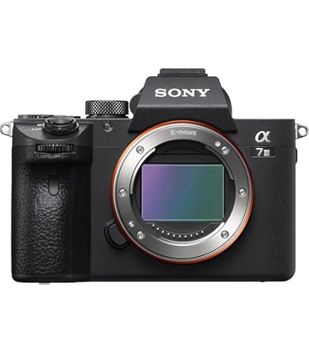 Amazon.com : Sony a7R II Full-Frame Mirrorless Interchangeable