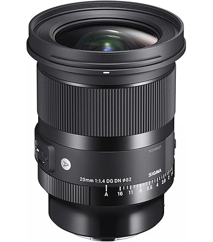 Amazon.com : 20mm F1.4 Art DG DN for Sony E Mount : Electronics