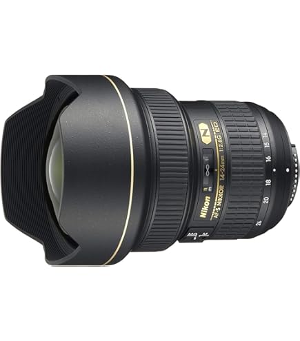 Amazon.com : Nikon AF-S FX NIKKOR 20mm f/1.8G ED Fixed Lens with