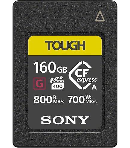 Amazon.com: ProGrade Digital CFexpress™ 2.0 Type A Memory Card