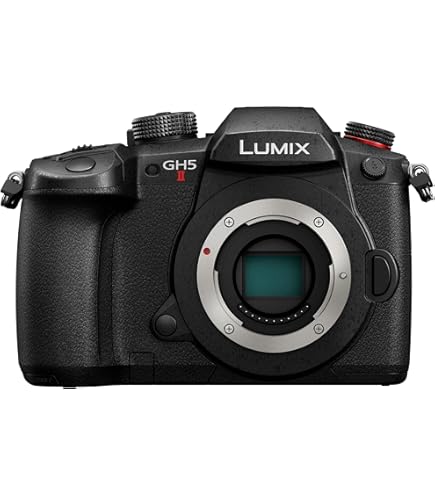 Amazon.com : PANASONIC LUMIX GH5 Body 4K Mirrorless Camera, 20.3