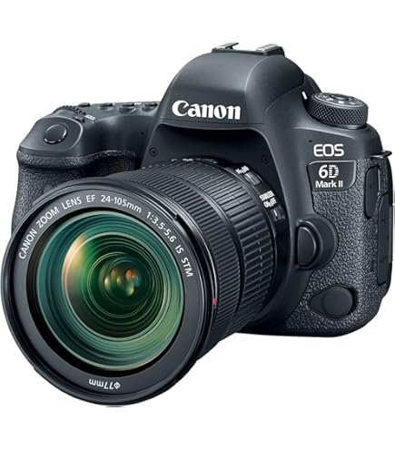 Amazon.com : Canon EOS 6D Mark II DSLR Camera with 24-105mm f/4L