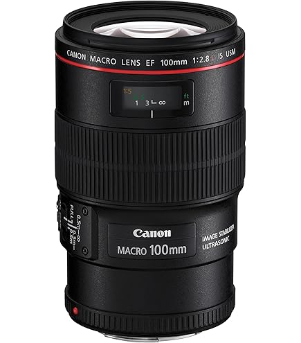 Amazon.com : Canon EF 100mm f/2.8L Is USM Macro Lens for Canon