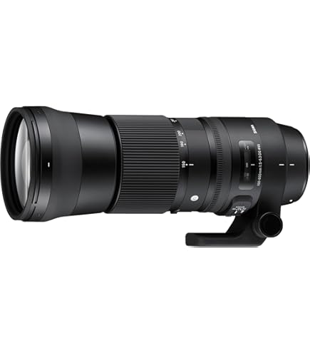 TAMRON Super Zoom Lens SP 150-600mm F5-6.3 Di VC USD G2 for Canon